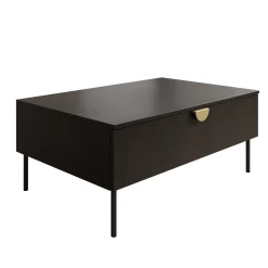 Monor - Salontafel - Zwart - 100x66x42 cm