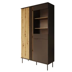 Rogan - Vitrinekast - Zwart - 111x40x195 cm